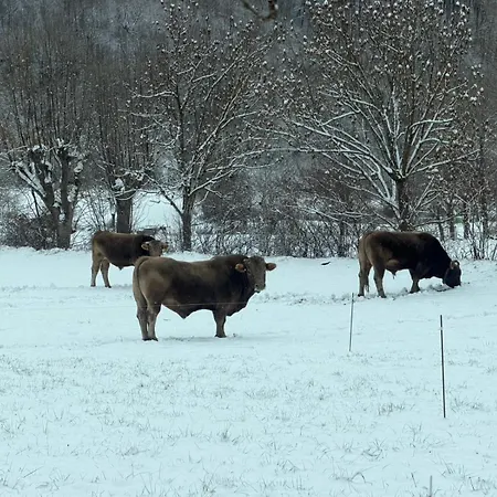 Atico Turistico En - La Vall De Boi Durro